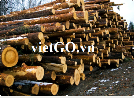 Nhà nhập khẩu Pháp cần mua gỗ keo tròn