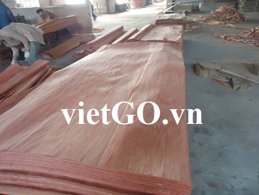 Nhà nhập khẩu Oman cần mua ván bóc