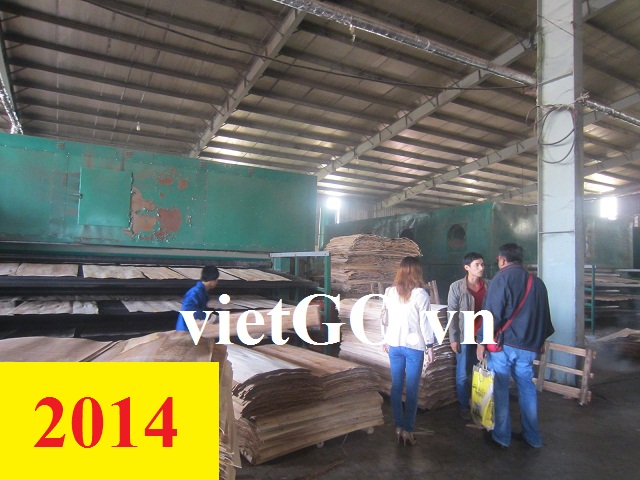 Nhà nhập khẩu Ấn Độ cần mua ván bóc cho cả năm  2014