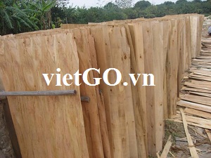 Nhà nhập khẩu Ấn Độ cần mua ván bóc