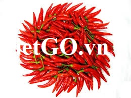 Đơn hàng ớt của nhà nhập khẩu Indonesia