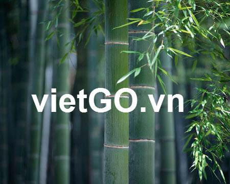 Nhà nhập khẩu Thụy Sĩ cần mua gậy tre.