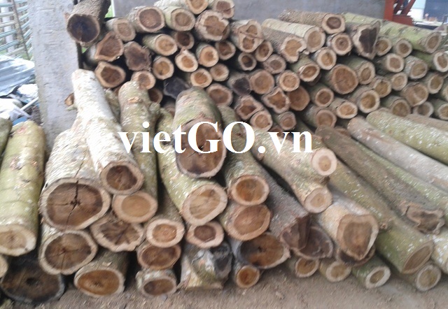 Nhà nhập khẩu Hàn Quốc cần mua gỗ keo tròn