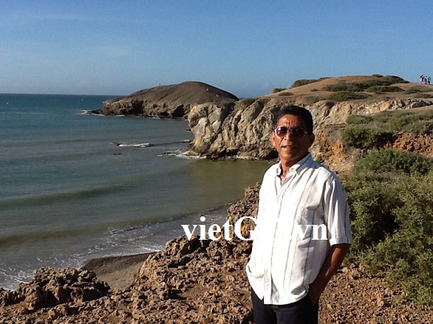 Đơn hàng ngô vàng cho cả năm 2014 của nhà nhập khẩu Colombia