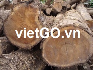 Cơ hội xuất khẩu gỗ Teak tròn sang Ấn Độ