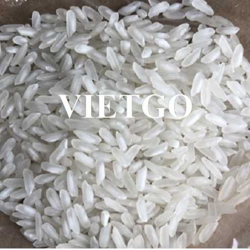 Thương vụ hợp tác xuất khẩu gạo trắng sang thị trường Ai Cập