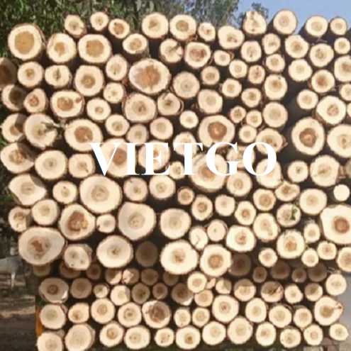 Cơ hội xuất khẩu gỗ dương tròn sang thị trường Ấn Độ