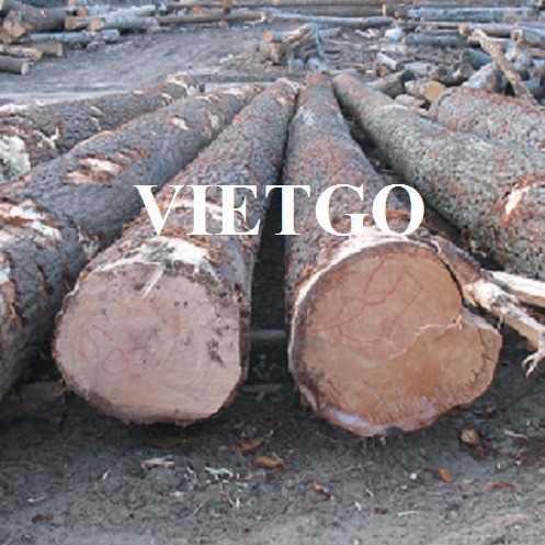 Cơ hội xuất khẩu gỗ thông tròn sang thị trường Trung Quốc