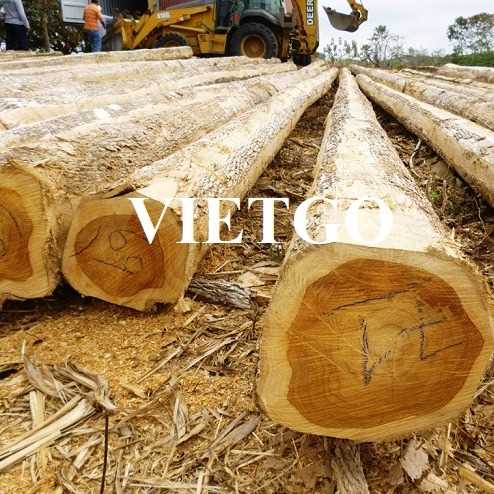 Cơ hội xuất khẩu gỗ teak tròn sang thị trường Trung Quốc