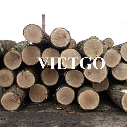 Cơ hội xuất khẩu gỗ sồi tròn sang thị trường Trung Quốc