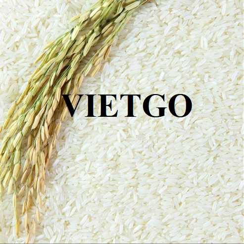 Thương vụ xuất khẩu gạo trắng sang thị trường Hà Lan 