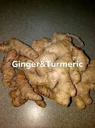 Need to buy large quantities of Fresh Ginger.