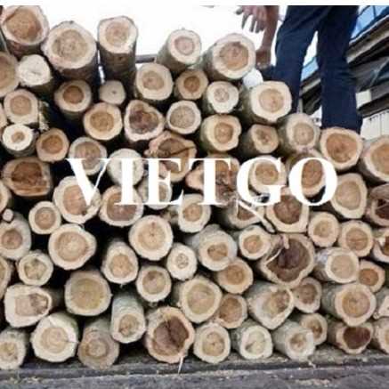Thương vụ xuất khẩu gỗ keo tròn sang thị trường Kuwait