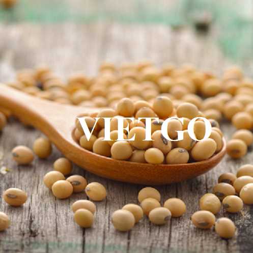  Cơ hội hợp tác xuất khẩu hạt đậu nành sang thị trường Việt Nam
