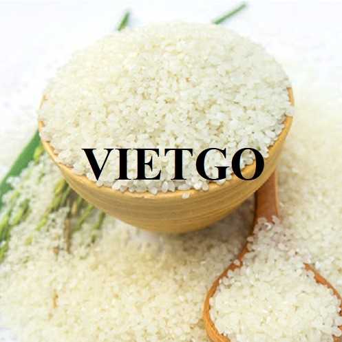 Thương vụ hợp tác xuất khẩu gạo từ vị khách hàng đến từ Thổ Nhĩ Kỳ