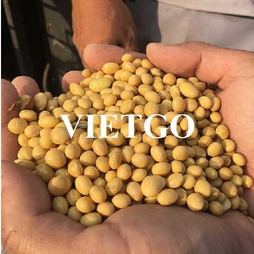 Thương vụ hợp tác xuất khẩu đậu nành về thị trường Việt Nam