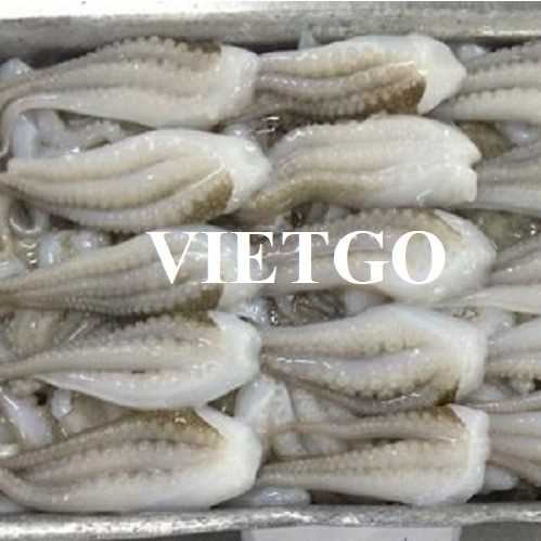 Cơ hội xuất khẩu bạch tuộc sang thị trường Hàn Quốc