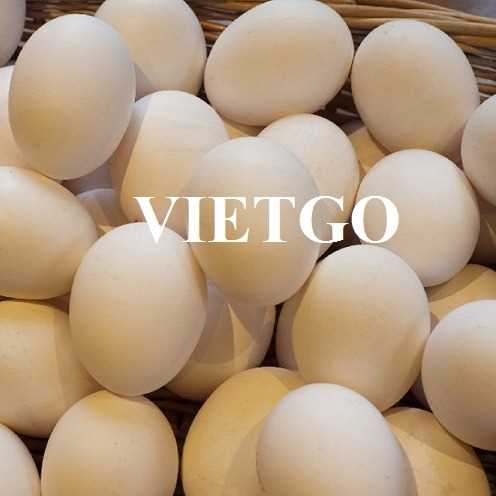 Cơ hội hợp tác xuất khẩu trứng gà sang thị trường Ả Rập Xê Út