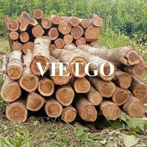 Thương vị xuất khẩu gỗ teak tròn sang thị trường Ý và Hà Lan