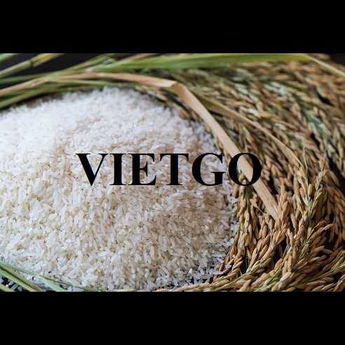Cơ hội hợp tác xuất khẩu gạo trắng sang thị trường Ả Rập Xê Út