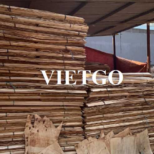 Thương vụ xuất khẩu ván bóc gỗ keo sang thị trường Thổ Nhĩ Kỳ