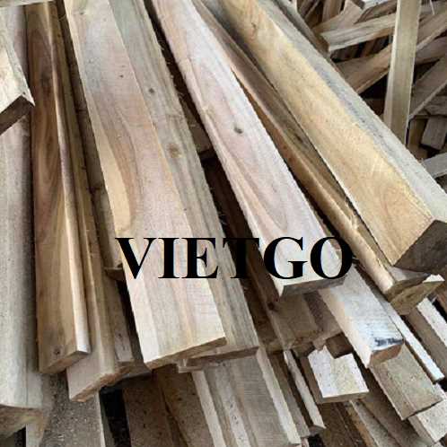 Thương vụ xuất khẩu gỗ keo xẻ sang thị trường Pháp