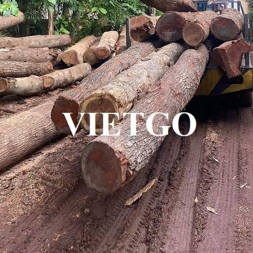 Thương vụ xuất khẩu gỗ teak tròn tới thị trường Bangladesh