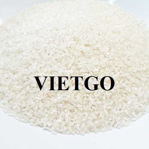 (Gấp) Cơ hội hợp tác xuất khẩu gạo từ vị khách hàng đến từ Trung Quốc