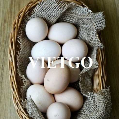 Cơ hội xuất khẩu trứng đến thị trường UAE