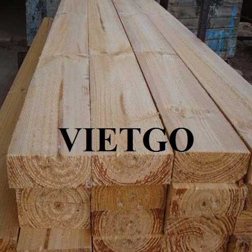Cơ hội xuất khẩu gỗ thông xẻ sang thị trường Ai Cập