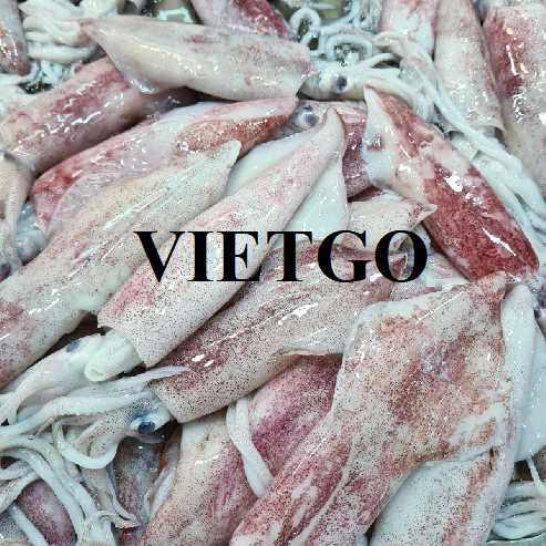 Cơ hội xuất khẩu mực và bạch tuộc sang thị trường Ý