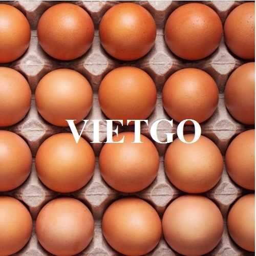 Thương vụ hợp tác xuất khẩu trứng đến từ vị khách hàng người Hồng Kông