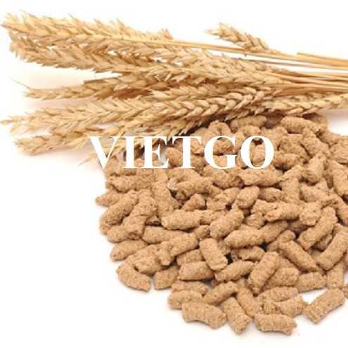 Cơ hội hợp tác xuất khẩu cám lúa mì sang thị trường Anh và Sri Lanka