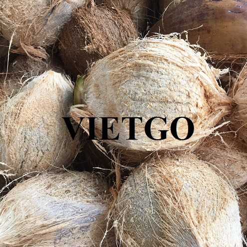 Cơ hội hợp tác xuất khẩu dừa sang thị trường Oman