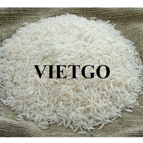 Cơ hội xuất khẩu sản phẩm gạo đến từ vị khách hàng người Hà Lan 