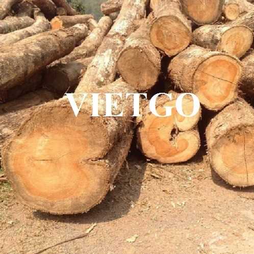 Thương vụ xuất khẩu gỗ teak tròn sang thị trường Malaysia