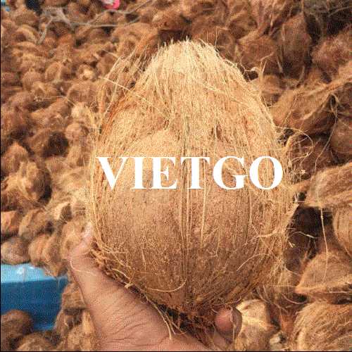 Cơ hội xuất khẩu dừa đến thị trường Bangladesh