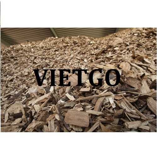 Cơ hội xuất khẩu sản phẩm gỗ vụn đến thị trường Trung Quốc 