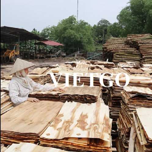 Thương vụ xuất khẩu ván bóc gỗ keo sang thị trường Ấn Độ 