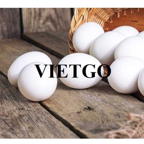 Cơ hội xuất khẩu trứng đến thị trường UAE