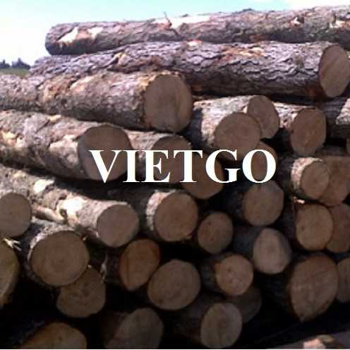 Thương vụ xuất khẩu gỗ thông tròn sang thị trường Ấn Độ