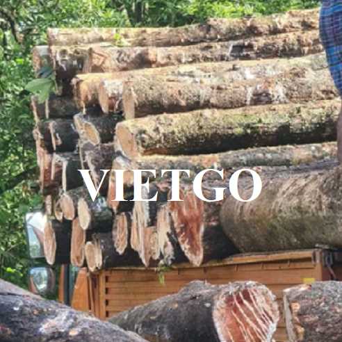 Thương vụ xuất khẩu gỗ cao su tròn sang thị trường Micronesia