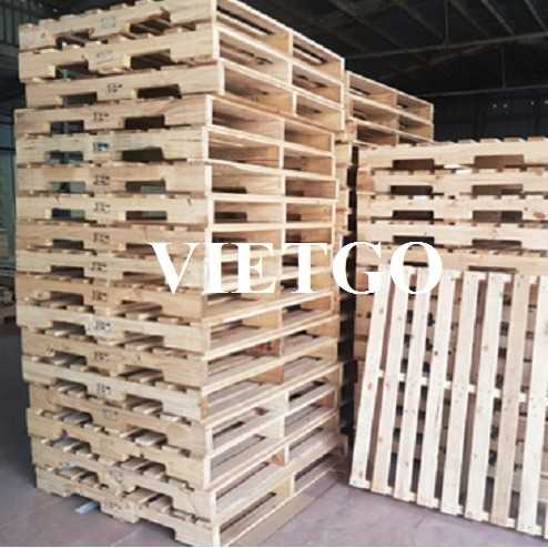 Thương vụ xuất khẩu pallet gỗ sang thị trường Morocco.