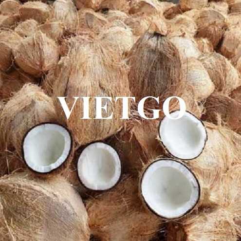 Cơ hội hợp tác xuất khẩu dừa sang thị trường UAE