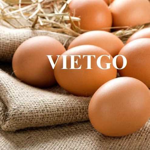 Thương vụ xuất khẩu trứng gà sang thị trường Trung Quốc