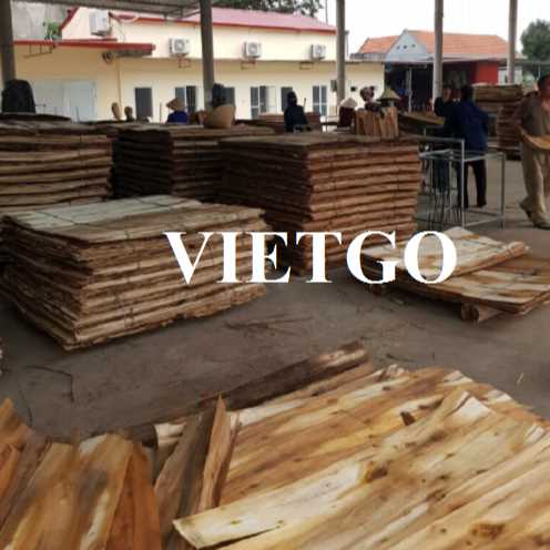 Thương vụ xuất khẩu ván bóc gỗ keo sang thị trường Ấn Độ 