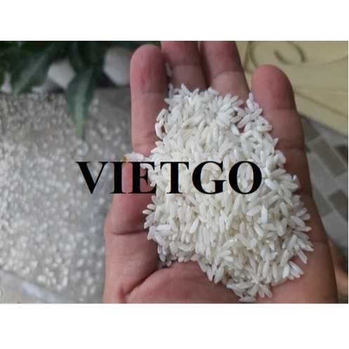 Thương vụ xuất khẩu gạo đến từ doanh nghiệp tại Anh Quốc