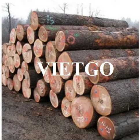 Thương vụ xuất khẩu gỗ lim tròn sang thị trường Bangladesh