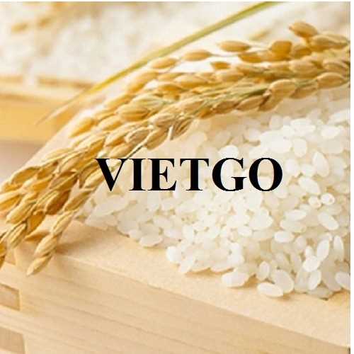 Cơ hội xuất khẩu gạo đầy hấp dẫn đến thị trường Mỹ