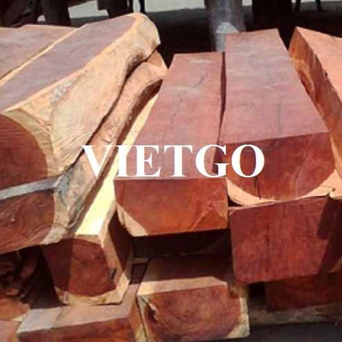 Thương vụ xuất khẩu gỗ hương xẻ sang thị trường Mỹ